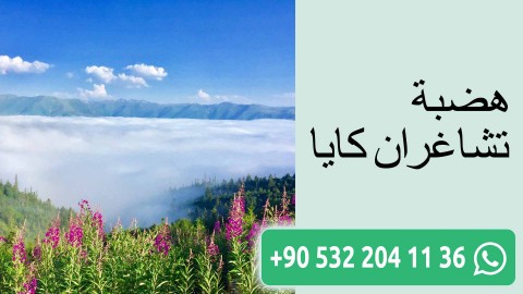 هضبة تشاغران كايا